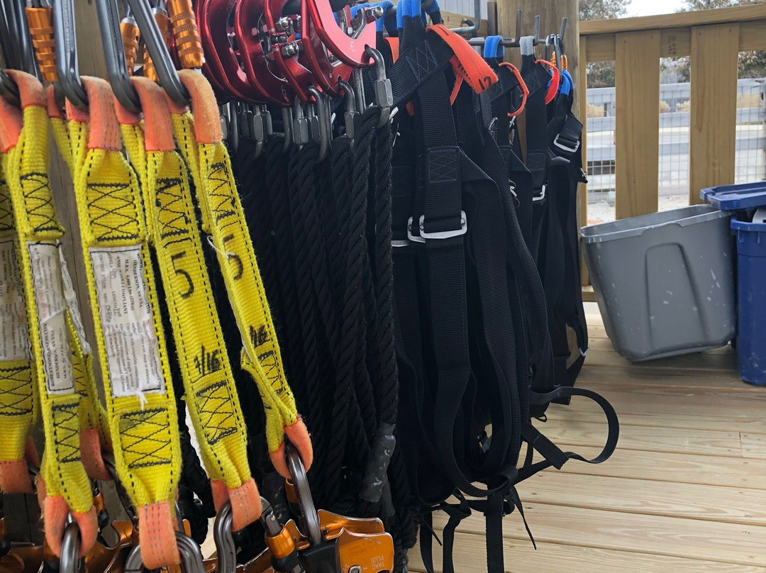 Screaming Raptor Zip Lines-Petersburg必去景点