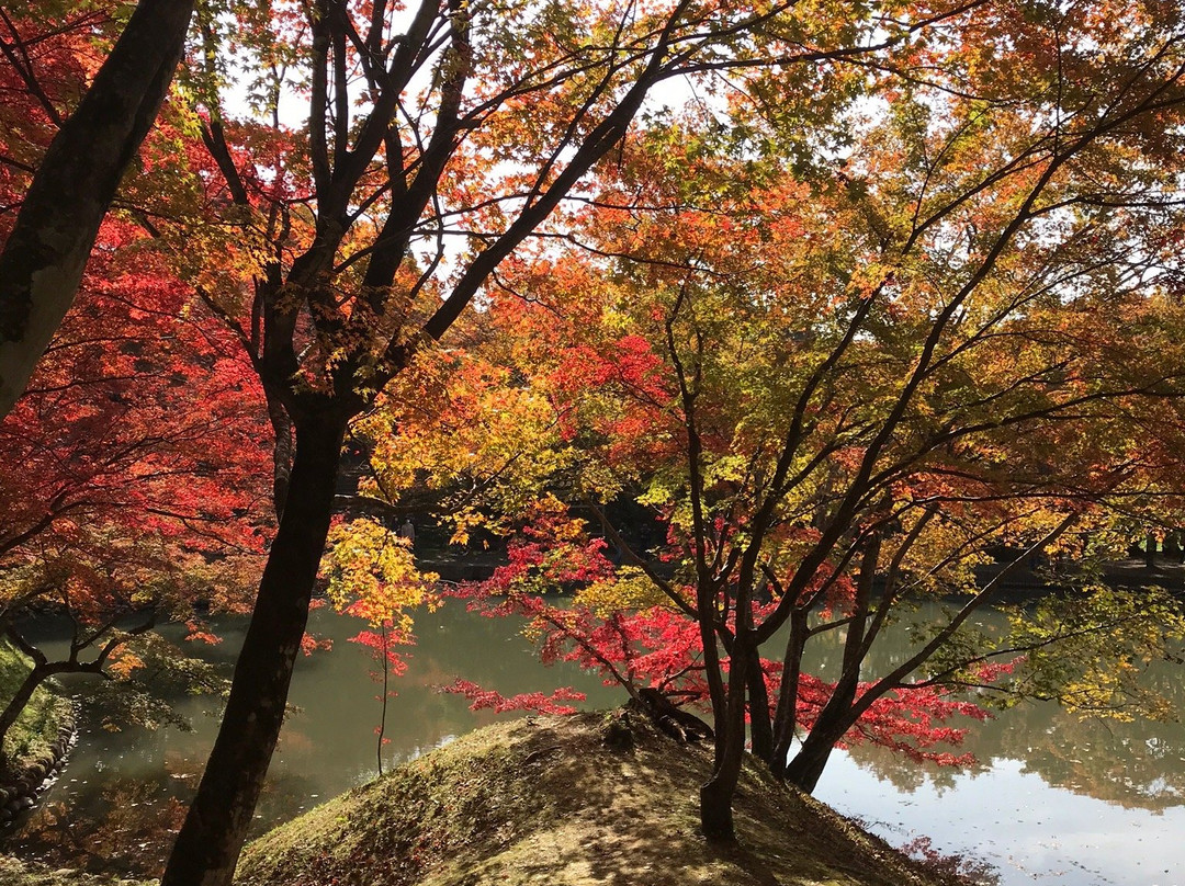 Yujaku Park-丰后大野市必去景点