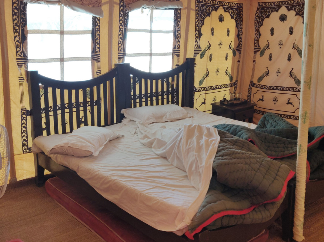 皇家沙漠营地主图