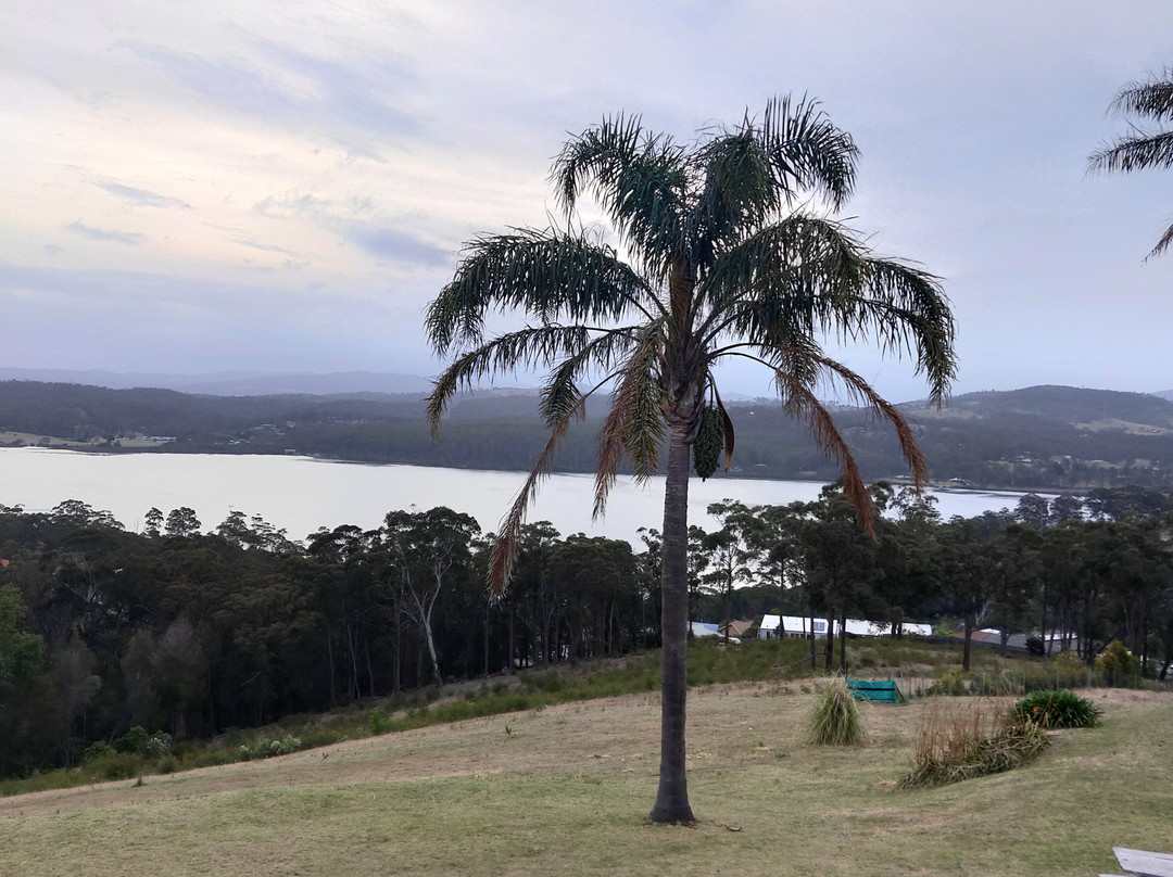 Norfolk Pine Motel主图