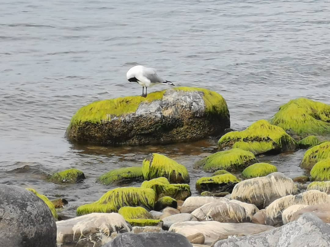 Hostal Qhana Pacha主图