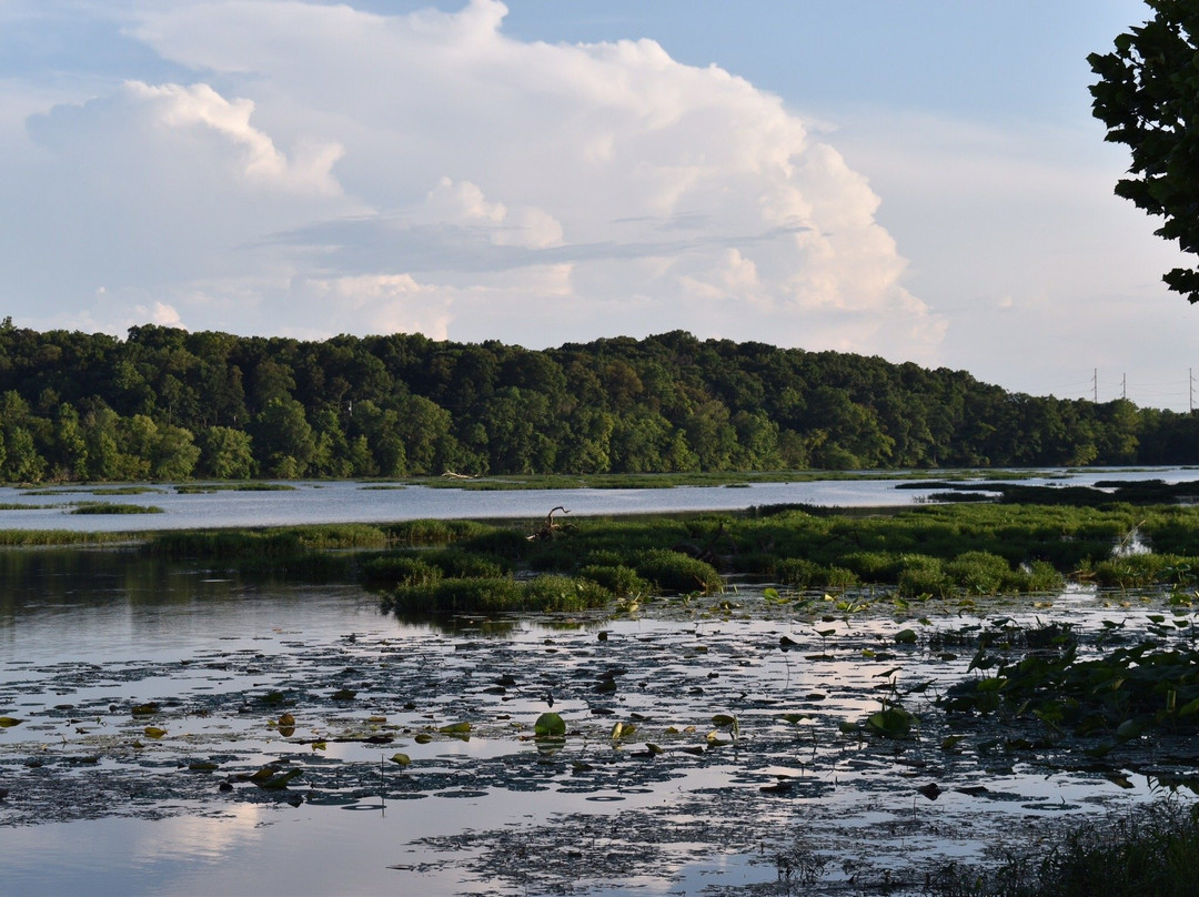 Lake Springfield Park, Boathouse and Marina-斯普林菲尔德必去景点