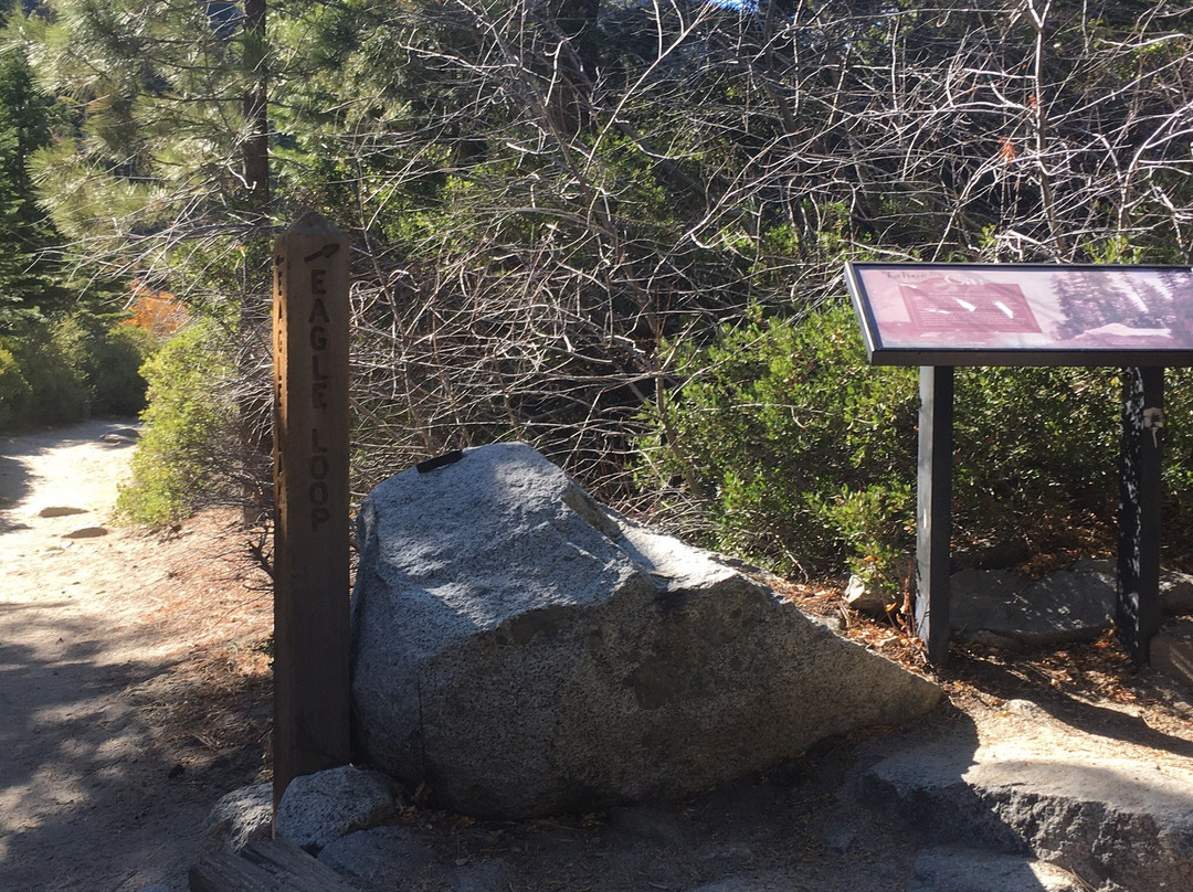 Eagle Falls Trail-塔霍城必去景点