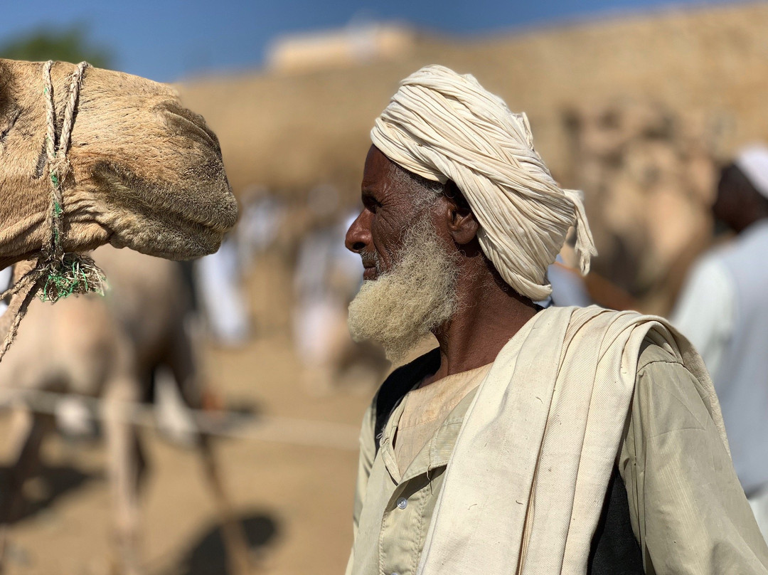 Livestock Market-Hargeysa必去景点