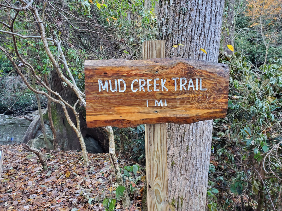 Mud Creek Falls景点图片