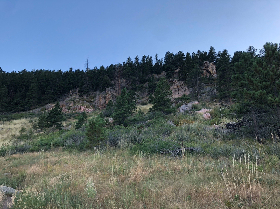 Lory State Park景点图片
