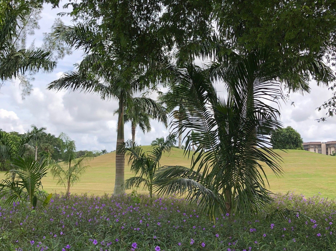 Club at Emerald Hills-好莱坞必去景点