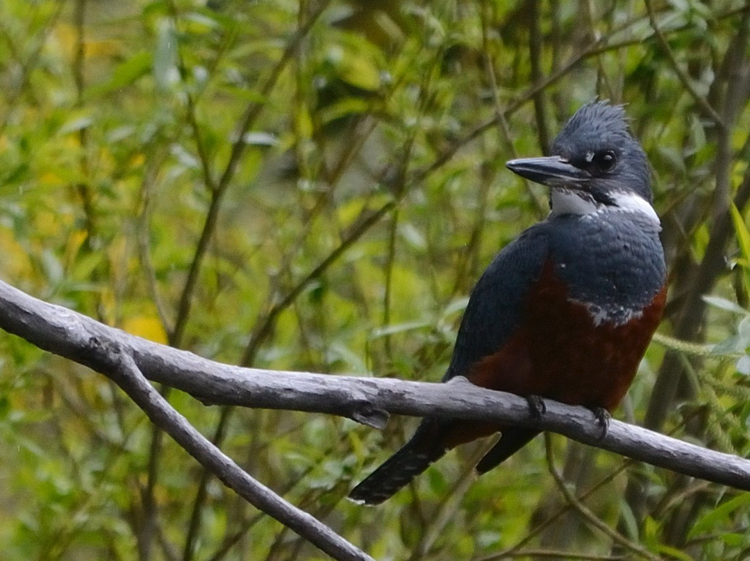 Carpintero Negro Aventuras-Futaleufu必去景点
