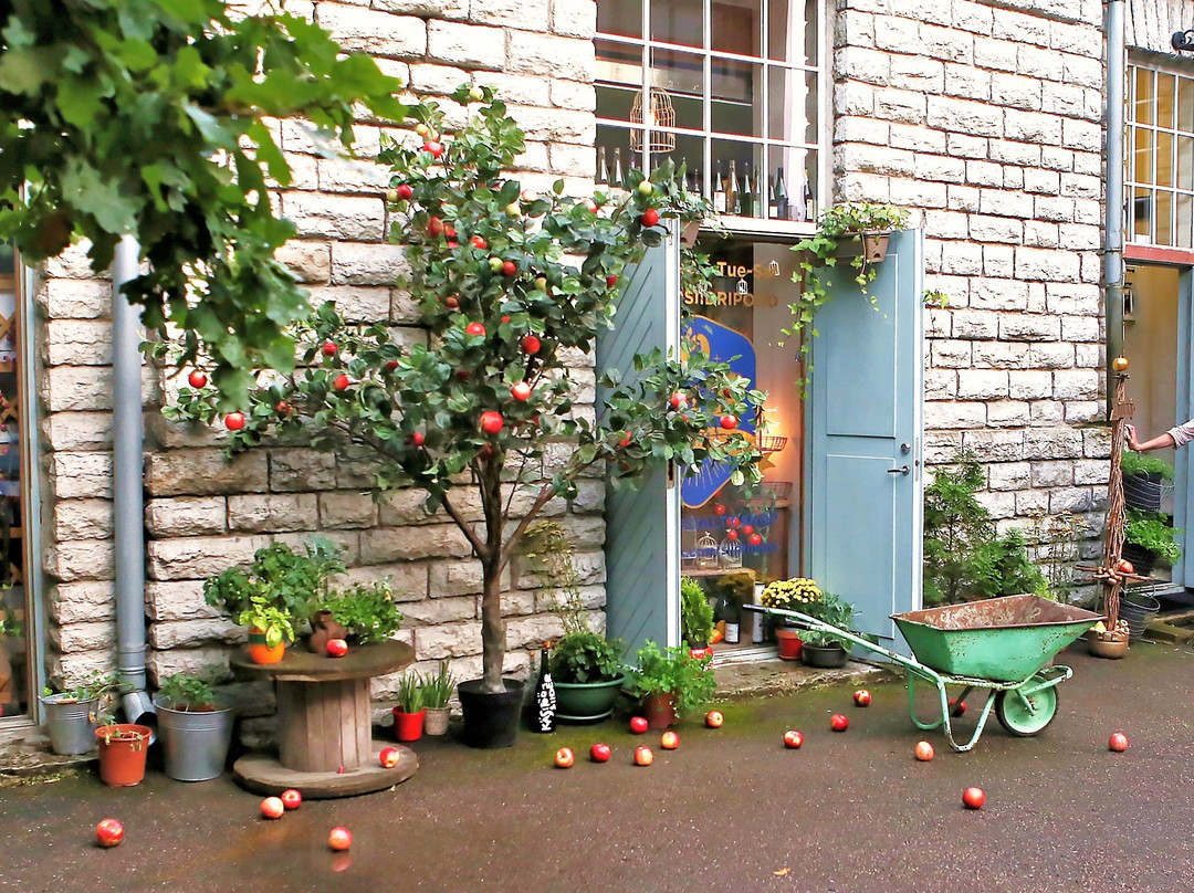 Siidrimaja-塔林必去景点