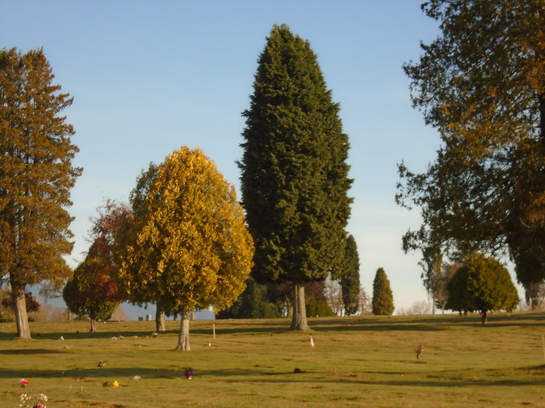 Forest Lawn Memorial Park-本那比必去景点