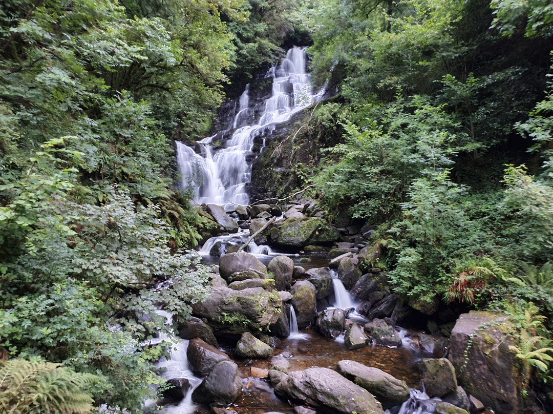Kerry Taxi Tours景点图片