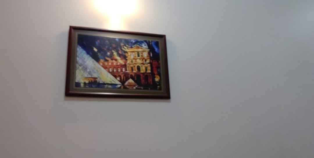 Hotel Sri Krishna Residency主图