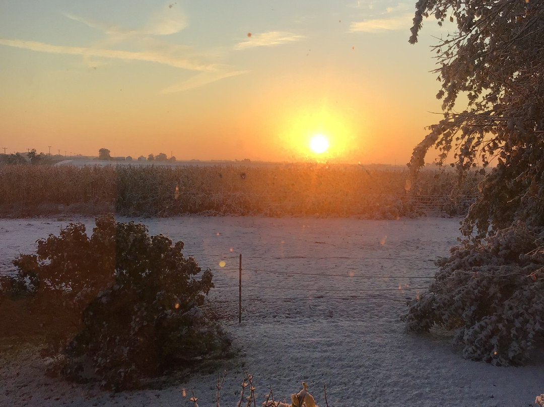 So Dear To My Heart Bed and Breakfast主图