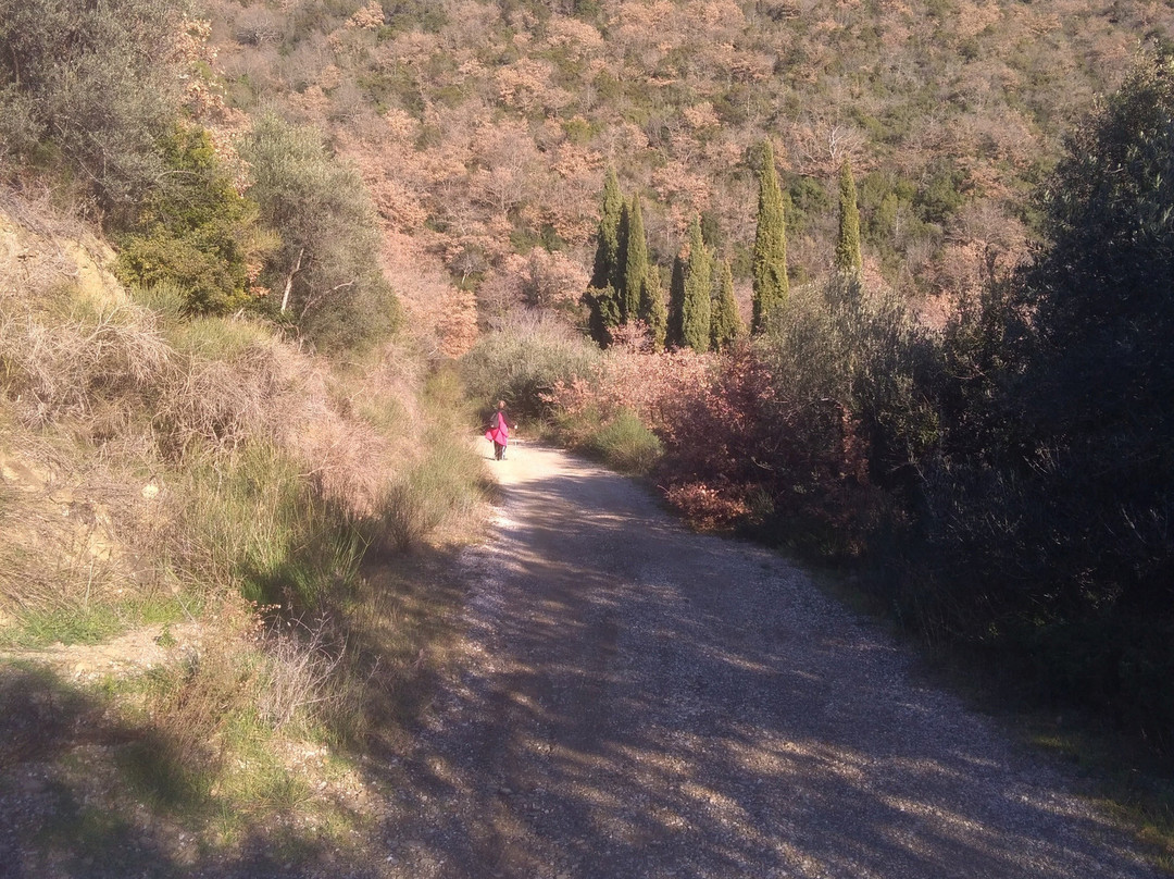 La Via del Trasimeno景点图片