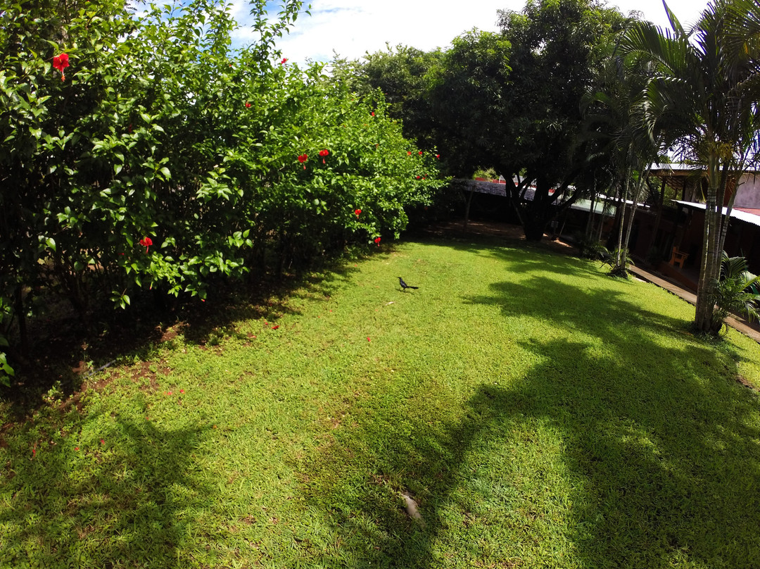 Tsunami Hostel主图