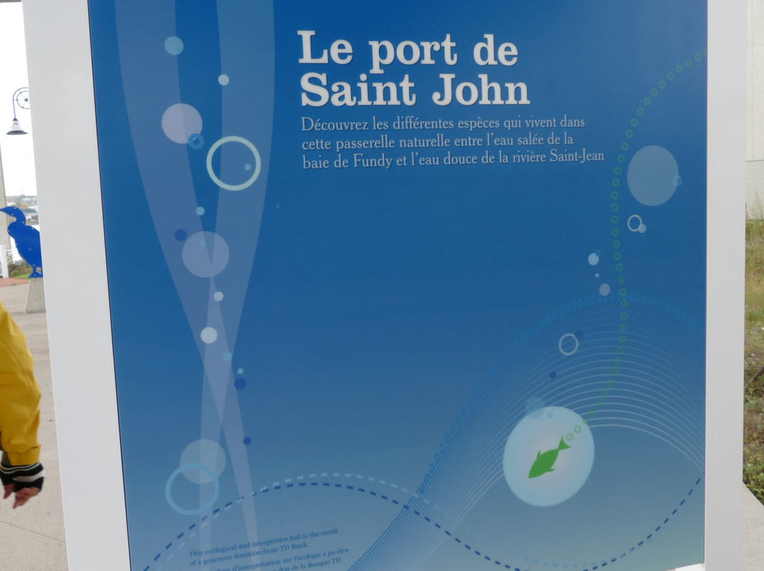 Harbour Passage-圣约翰必去景点