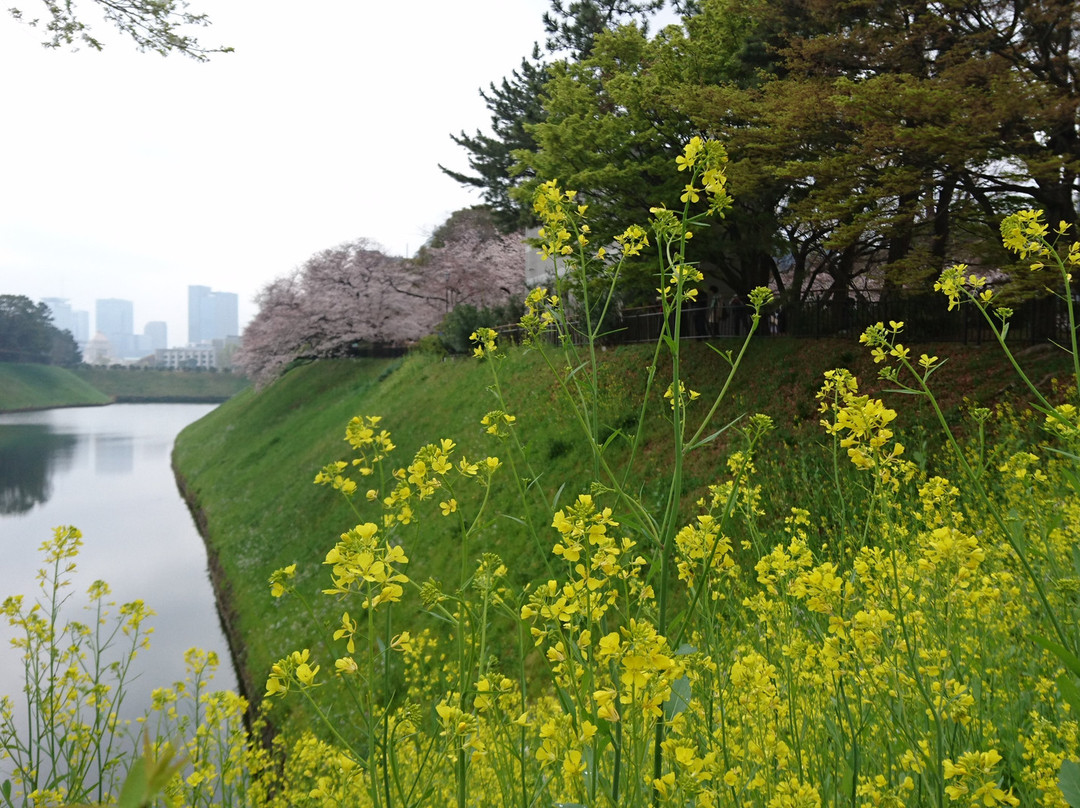 Sakuradabori Hanzobori-Kasumigaseki必去景点
