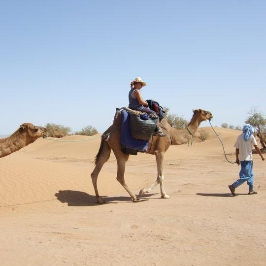 Kingdom Morocco Tours景点图片