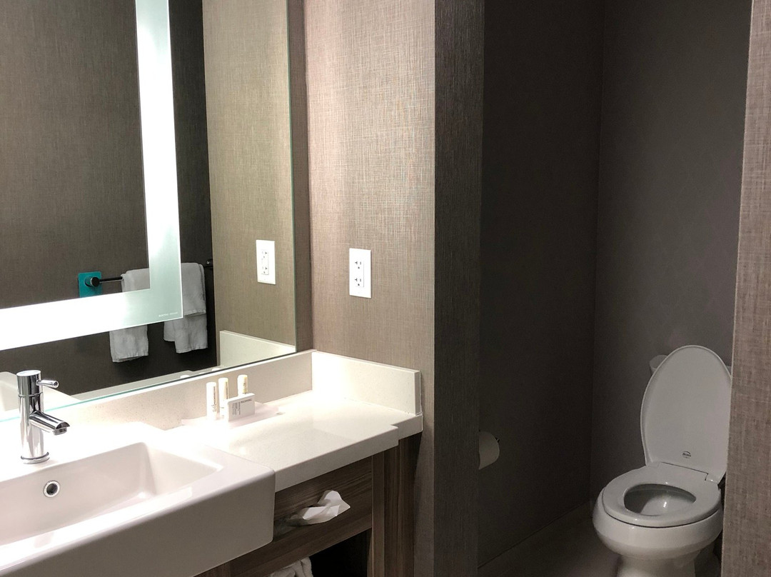 Springhill Suites by Marriott Hampton Portsmouth主图