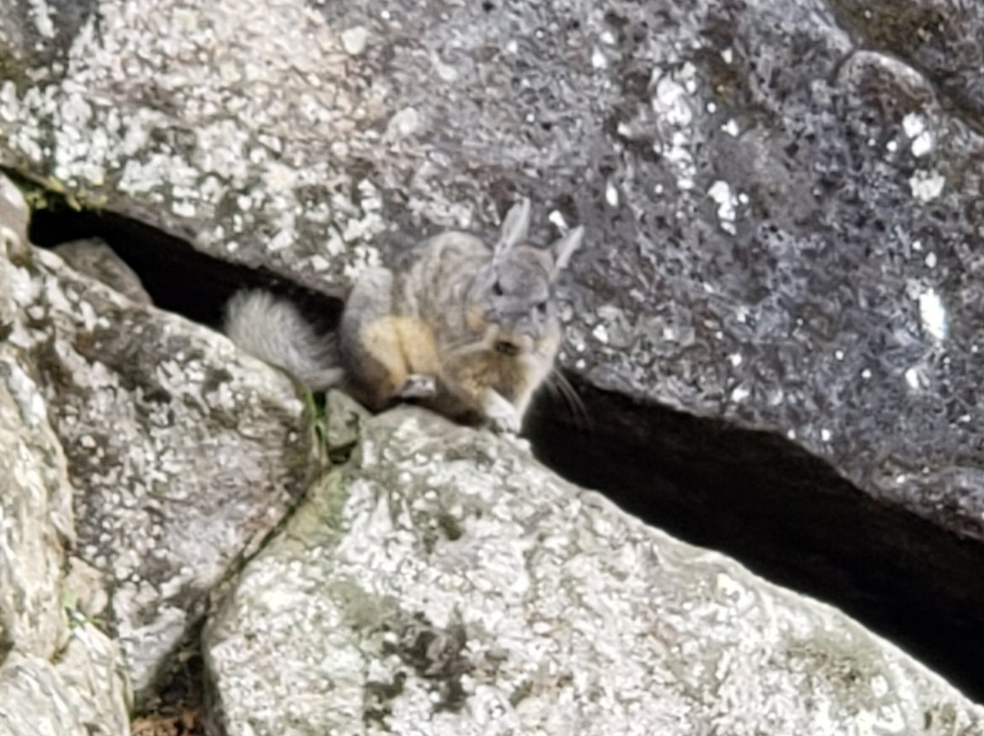 San Sebastian旅游攻略图片