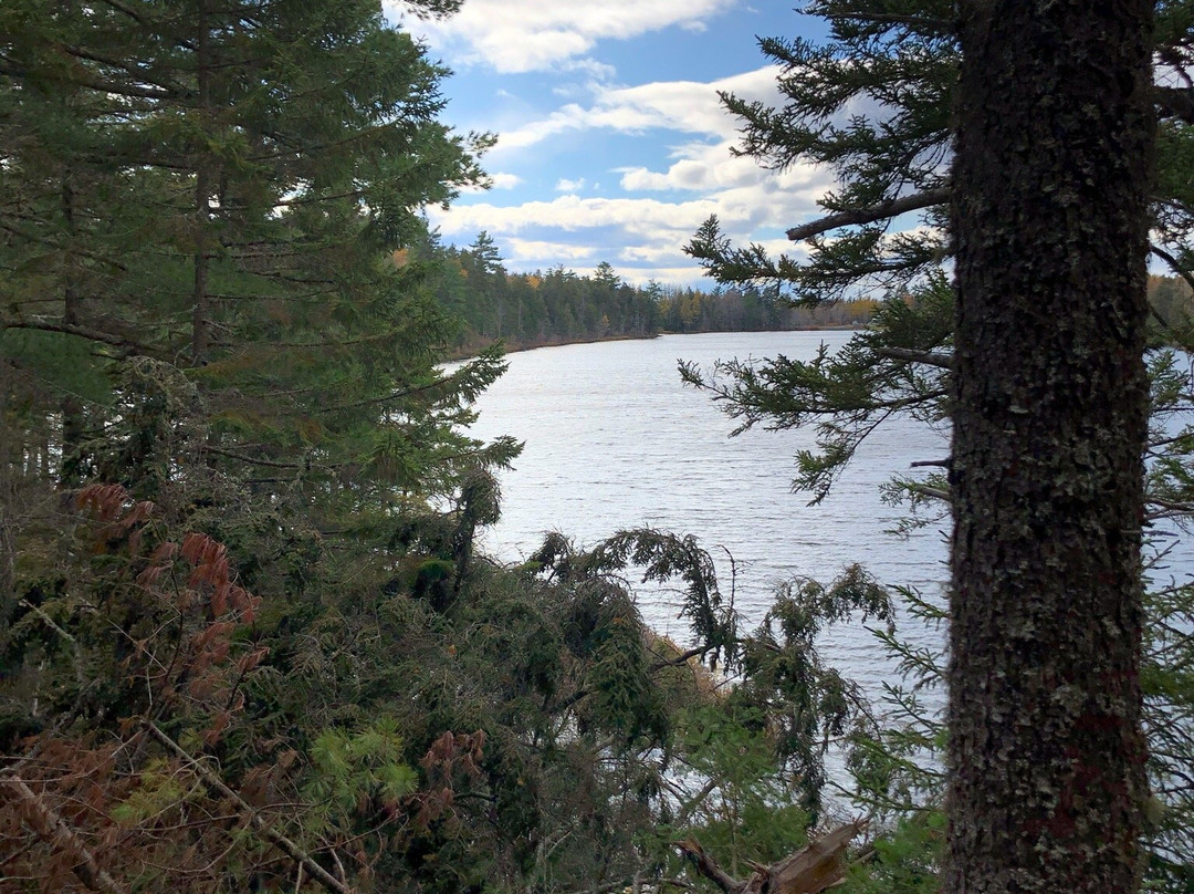 Killarney Lake Park Trail景点图片