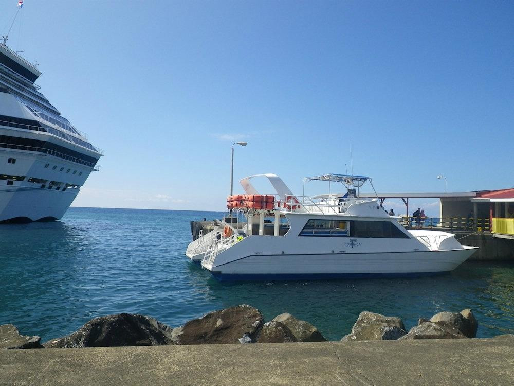 Champagne Reef Dive & Snorkel景点图片