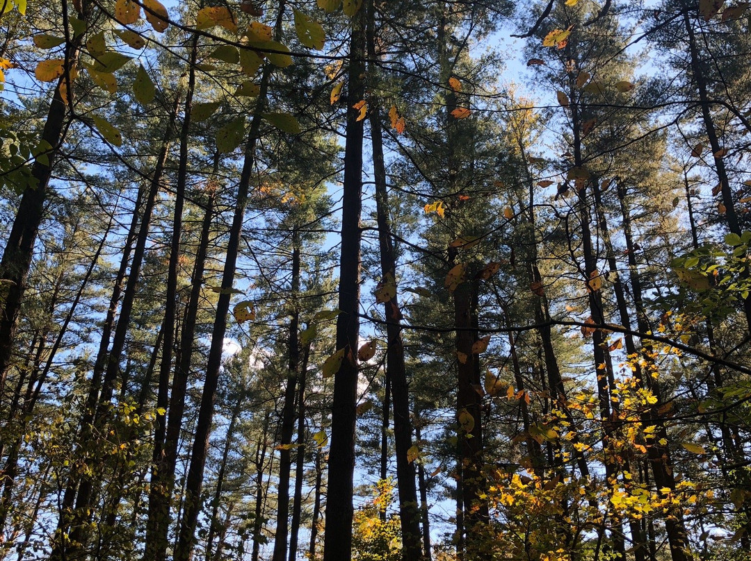 Sugar Grove旅游景点-Wahkeena Nature Preserve