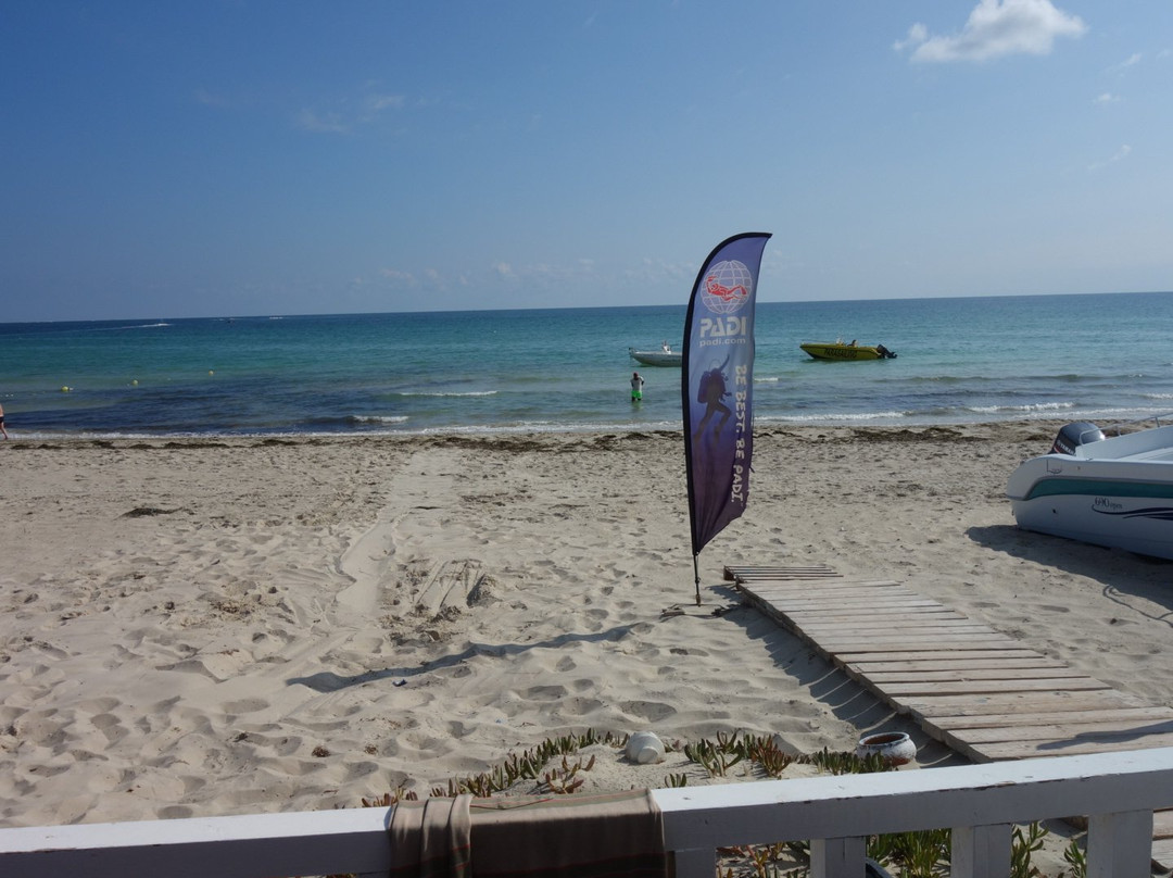 Club de Plongée La Sirène - Djerba Diving Center-米栋必去景点