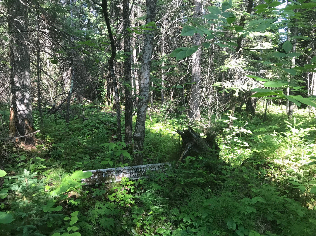 Sandilands Forest Discovery Centre