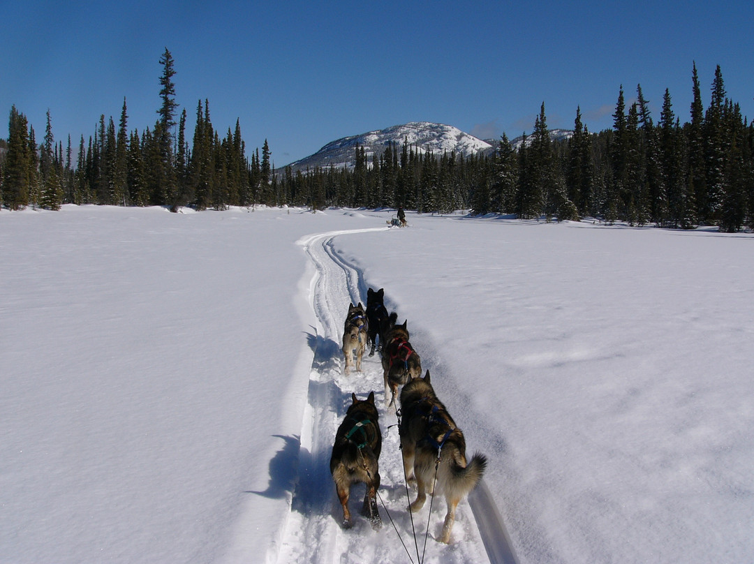 Cathers Wilderness Adventures-白马市必去景点