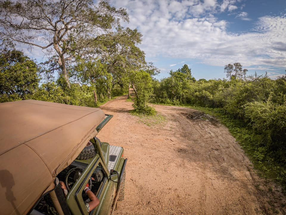 Sugathe's Yala Jeep Safaris景点图片