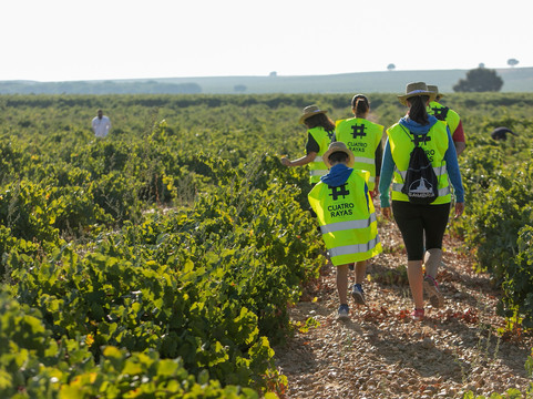 Bodega Cuatro Rayas-La Seca必去景点