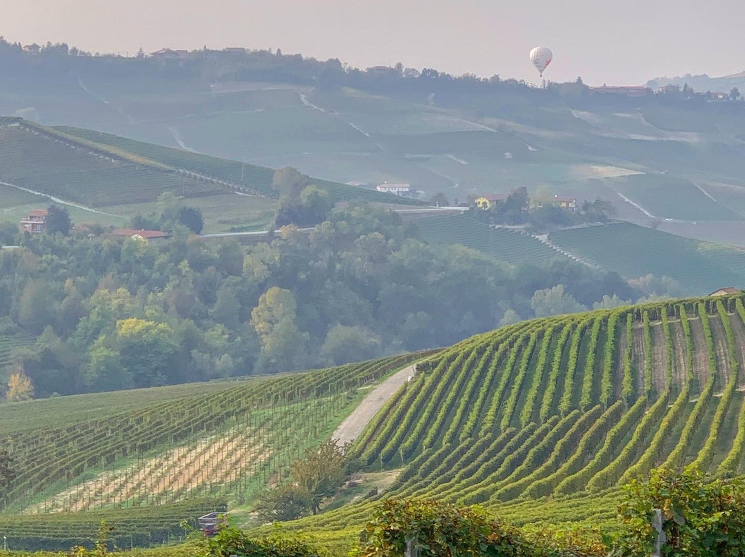 Piedmont Food and Wine-Vinchio必去景点