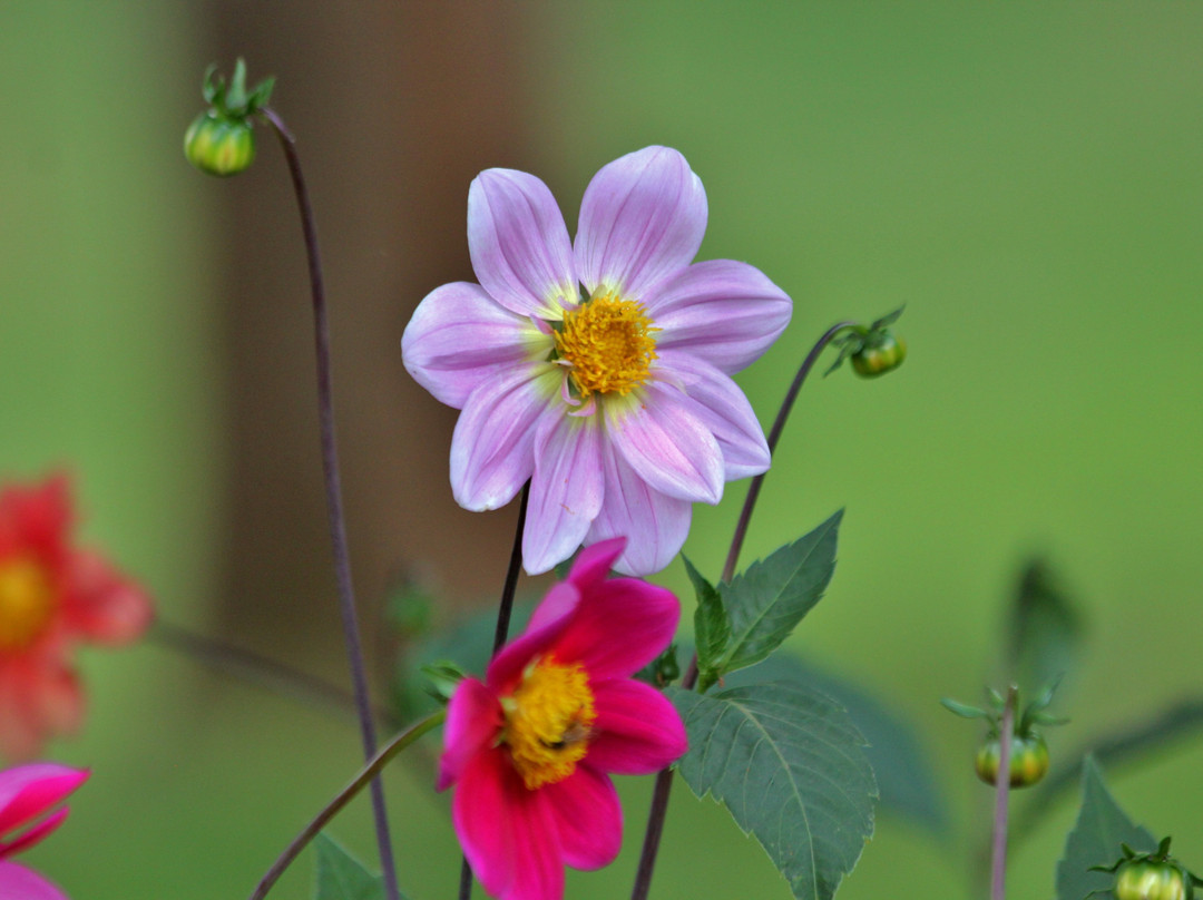 Thomson's Falls Lodge主图