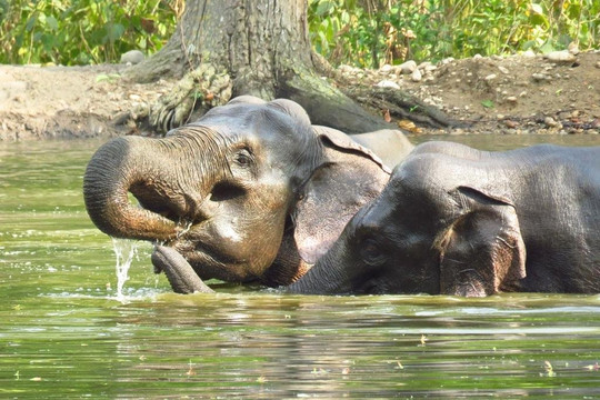 Pathikworld Tours-里希克虚必去景点