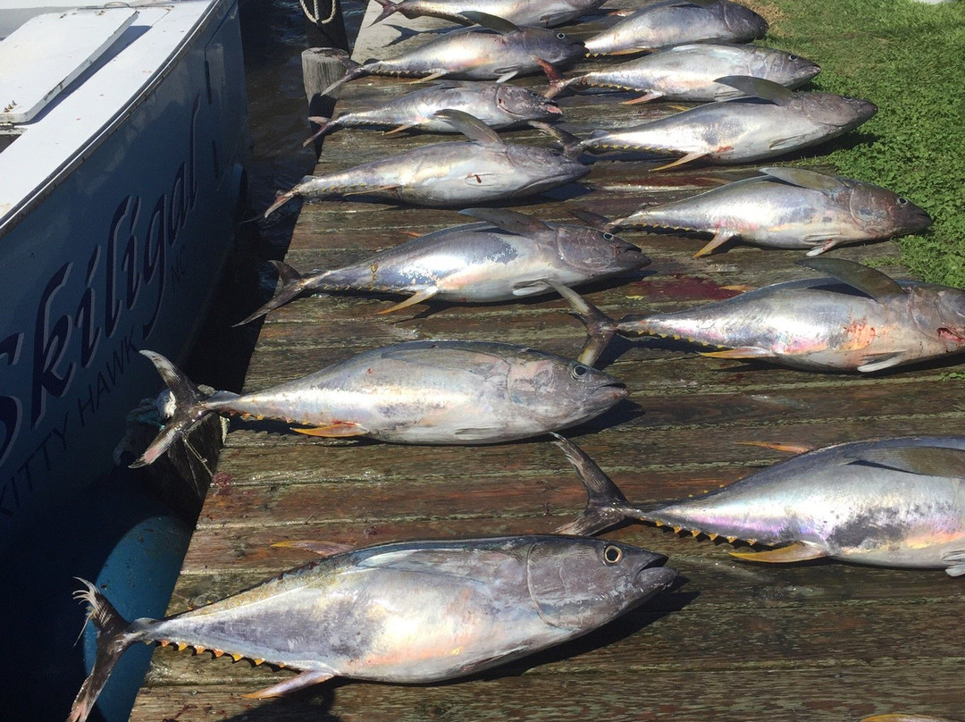 Skiligal Fishing Charters