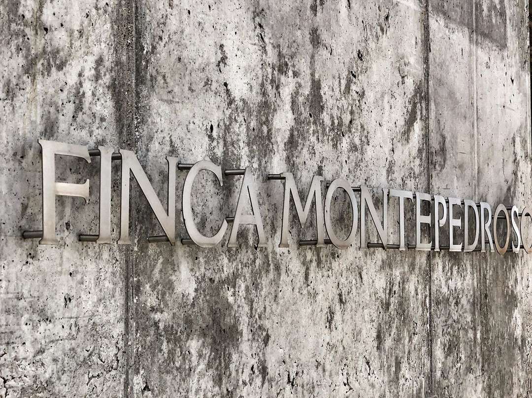 Finca Montepedroso-Rueda必去景点