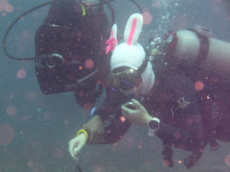 Manta Point Dive Site-努沙杜瓦必去景点