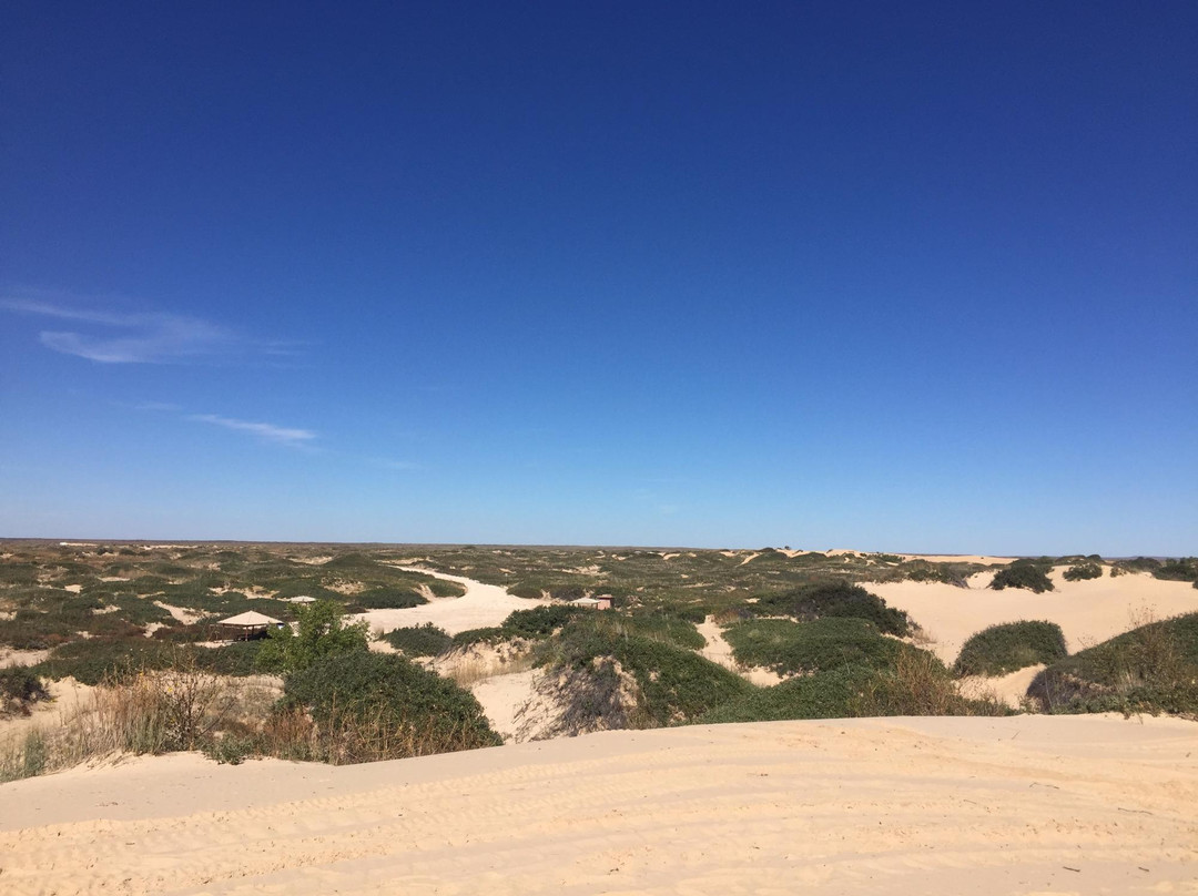 Mescalero Sands North Dune Off-Highway Vehicle Area