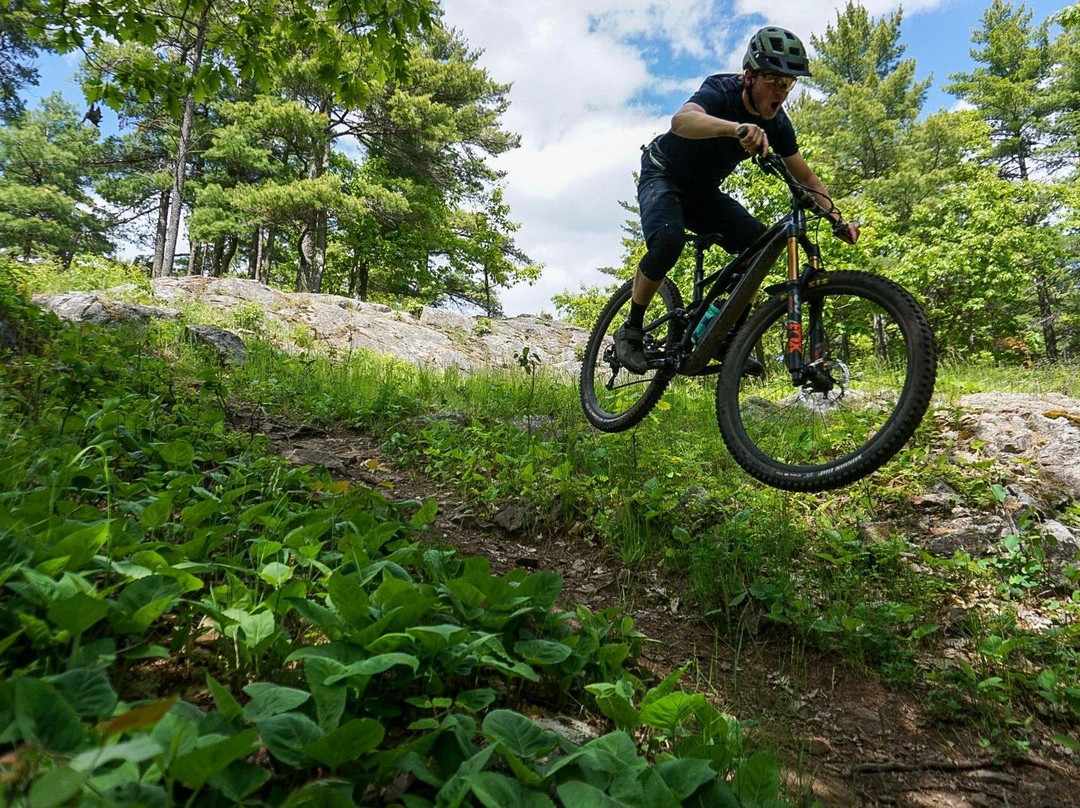 Local Lines Guide Service-Marquette必去景点