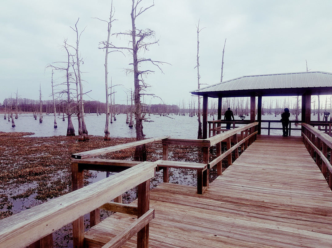 Black Bayou Lake National Wildlife Refuge景点图片