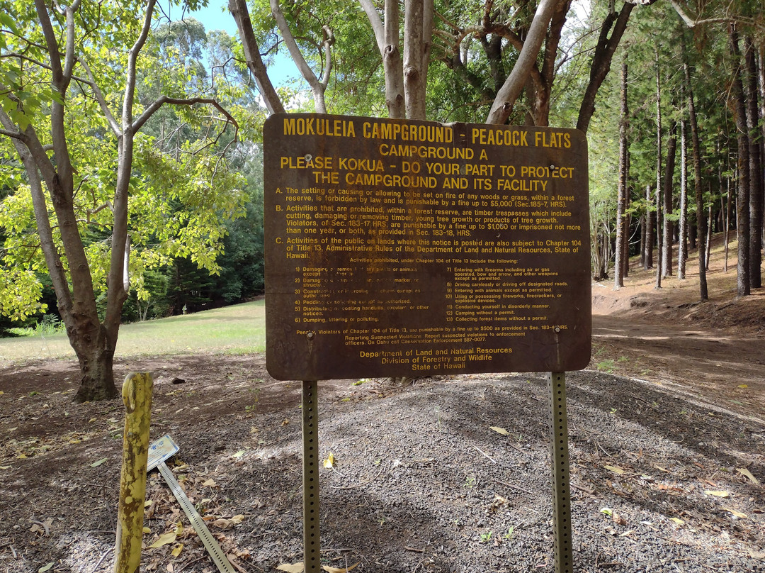 Trail Peacock flats via Mokuleia Access Road