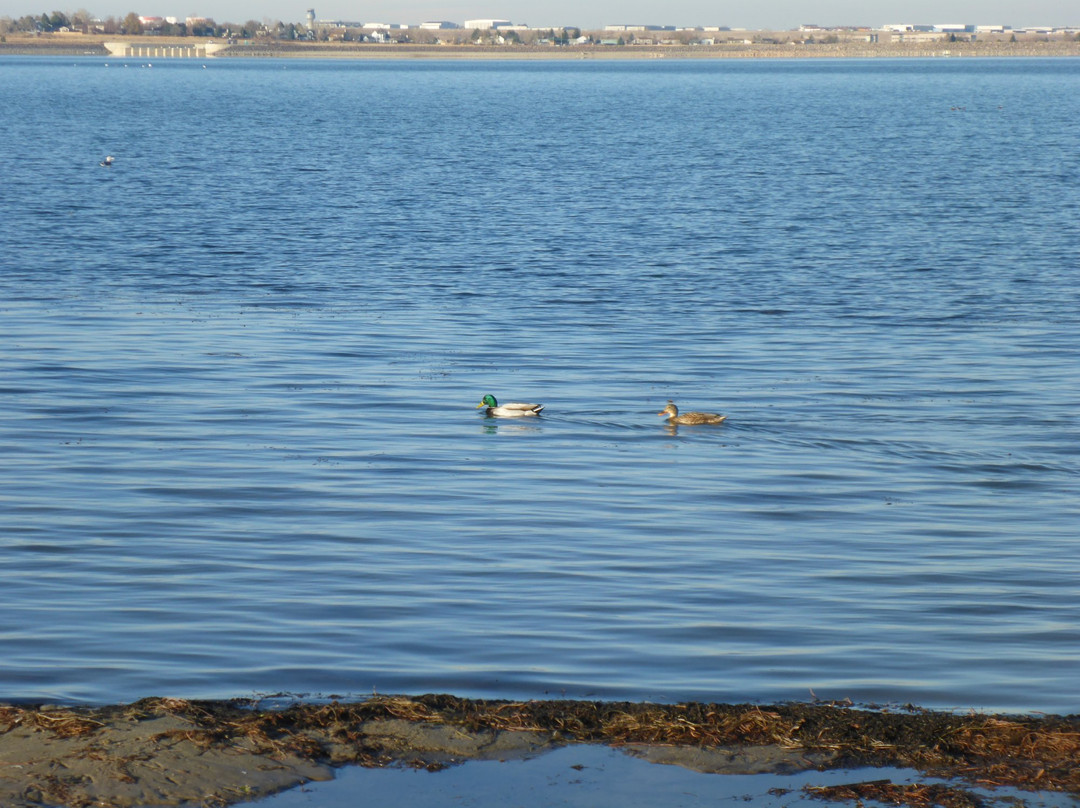 Standley Lake Regional Park景点图片