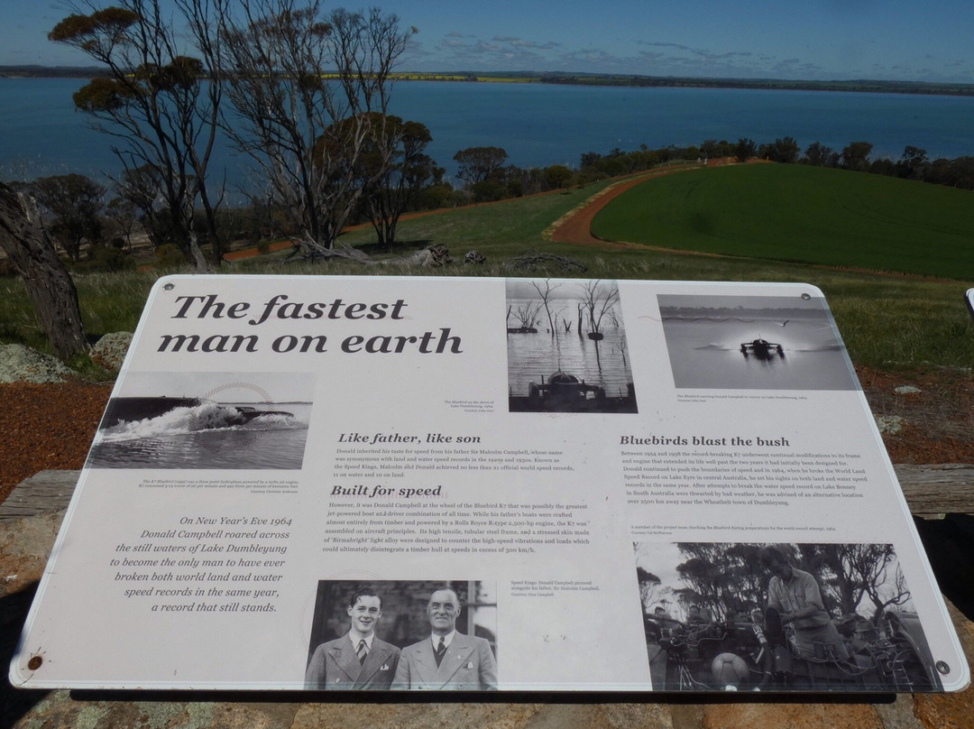 Dumbleyung Lake Nature Reserve-Dumbleyung必去景点