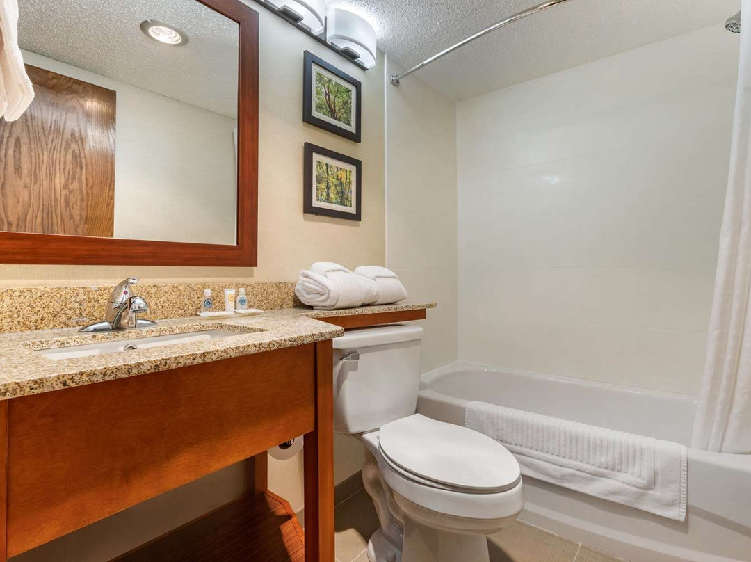 Comfort Inn & Suites主图