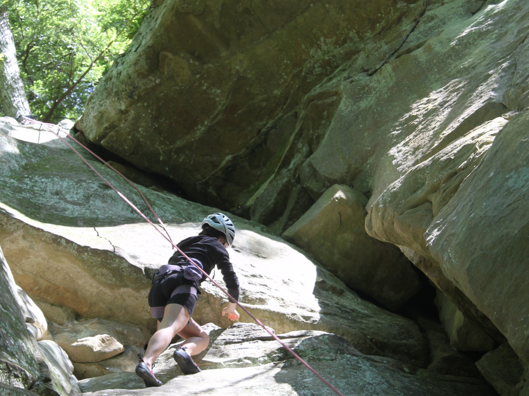 North Bend Climbing Guides景点图片