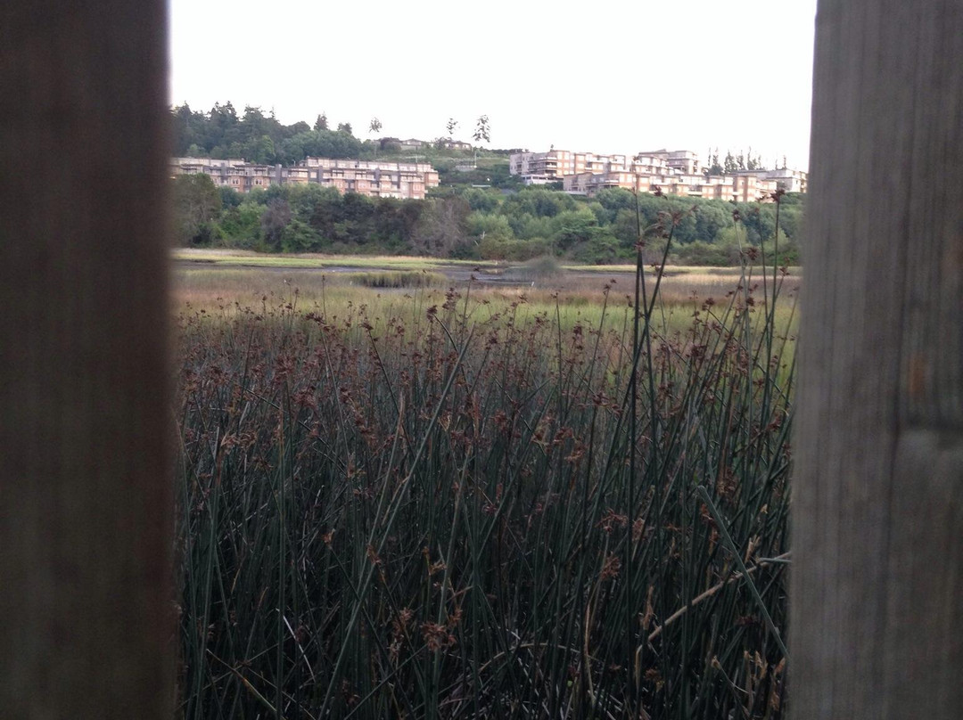 Edmonds Marsh-埃德蒙兹必去景点