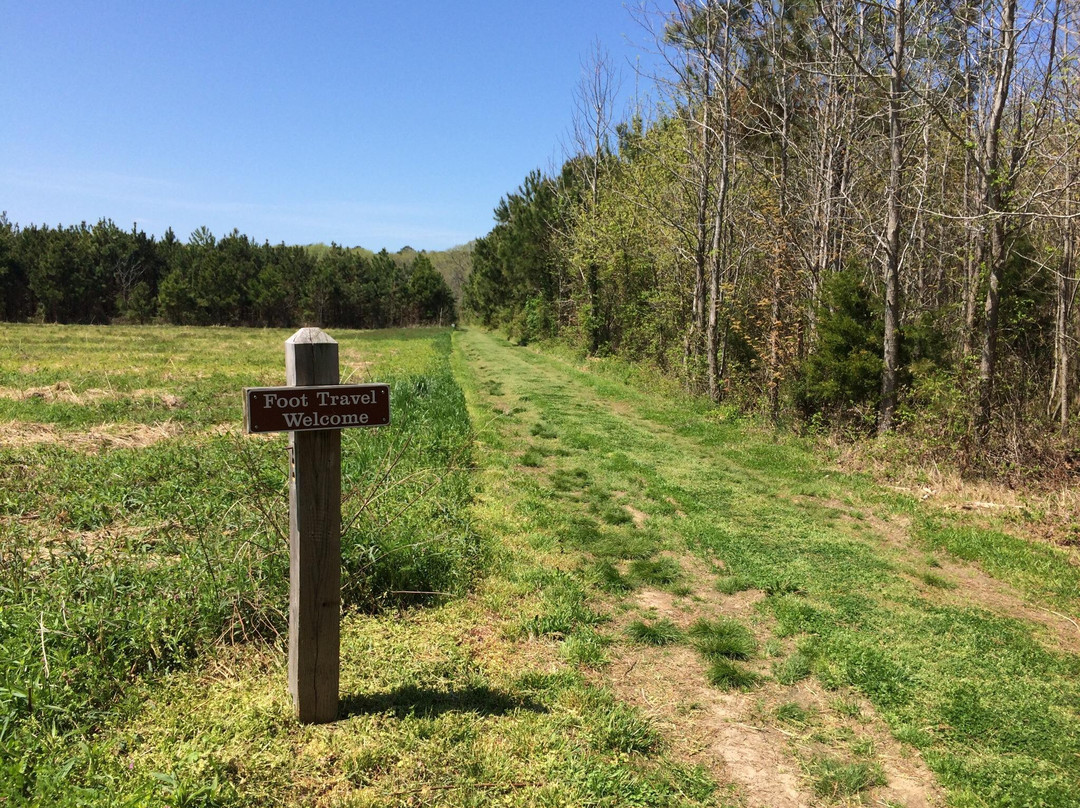 Savage Neck Dunes Dunes Natural Area Preserve-Eastville必去景点