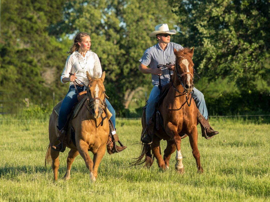 Brazos Bluffs Ranch景点图片