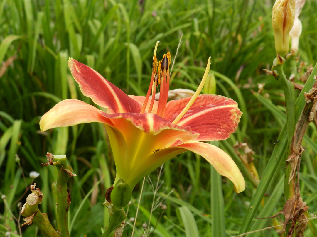Audubon Community Nature Center-Jamestown必去景点
